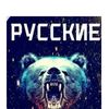 govna_kysok_
