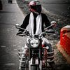 im_loyal_boy_01