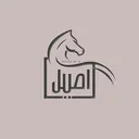 @aseelll_abaya