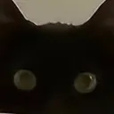 @qdampbunnies