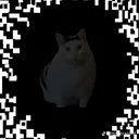 @verdtrkxr