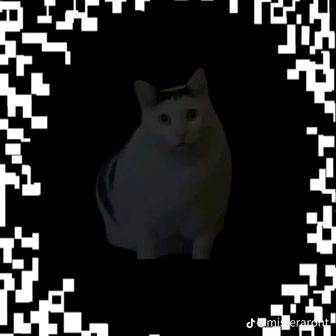 verdtrkxr