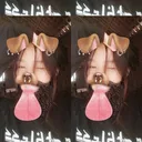 @sipasii._