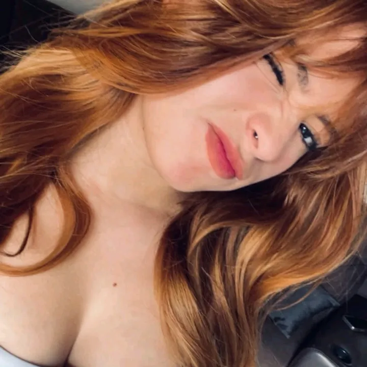 pollo_viajero