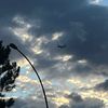 turkishairlens5