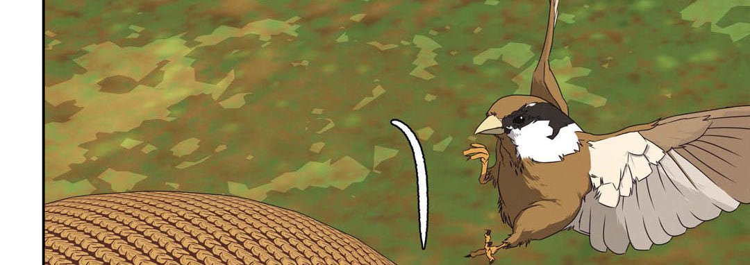 The Palace of Bardo - episode 30 - 78