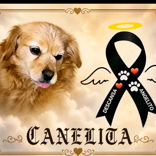 canelita_labonita