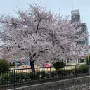 @user92879750710092