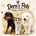 @deraspets