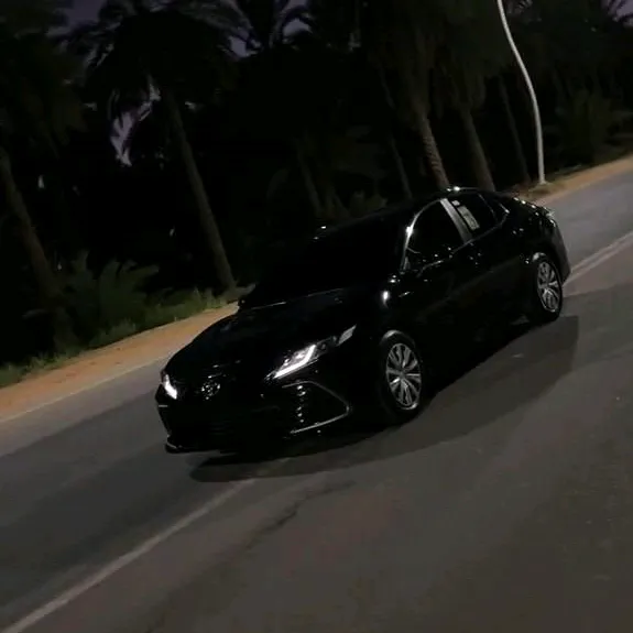 nsm_309