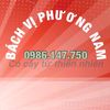 bachviphuongnam