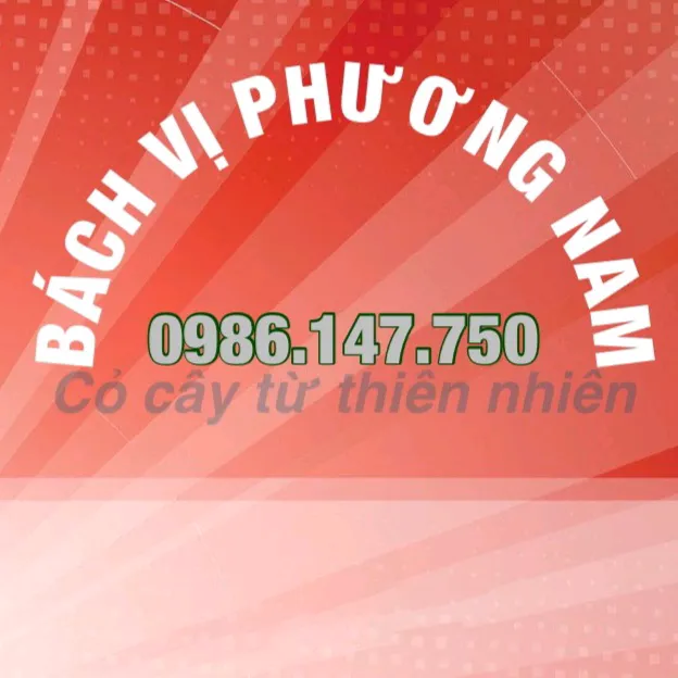 bachviphuongnam