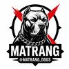 matrang_dogs