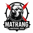 @matrang_dogs