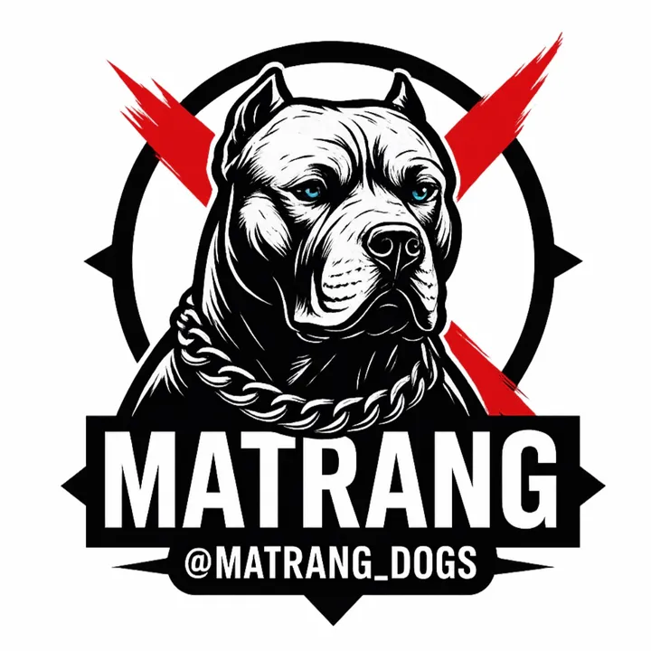 matrang_dogs