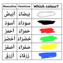 @aishaomar.com