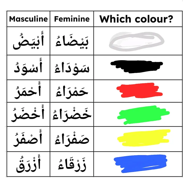 @aishaomar.com