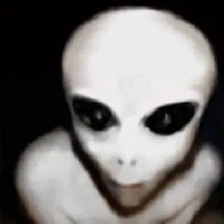 sekretgirllllll