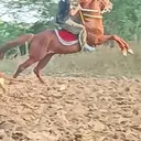 @user7510943675342
