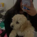 @.reneesspam1