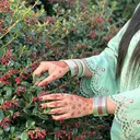 @henna_by_aroona