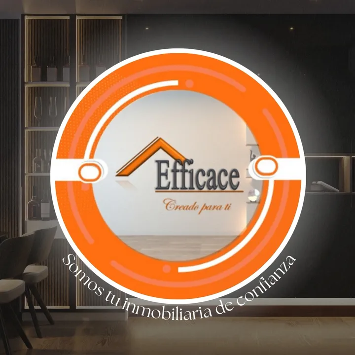 efficace.bienes.r