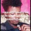 @desalegn.shimels