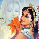 @dharamm0