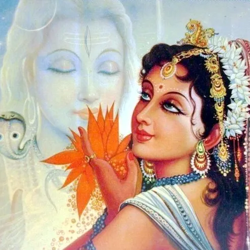 dharamm0