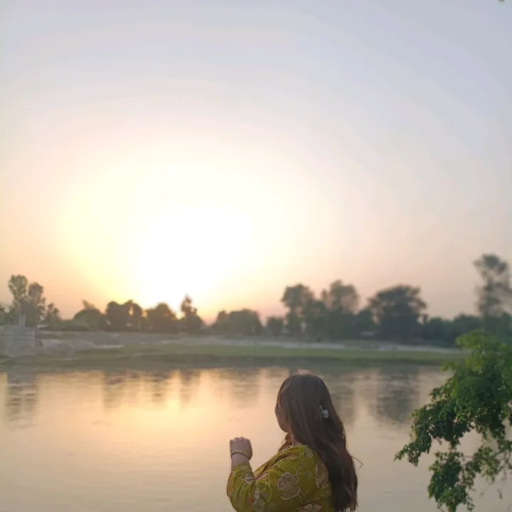golu2971