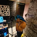 @maicke_callejerofino