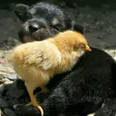 @elena196603.1