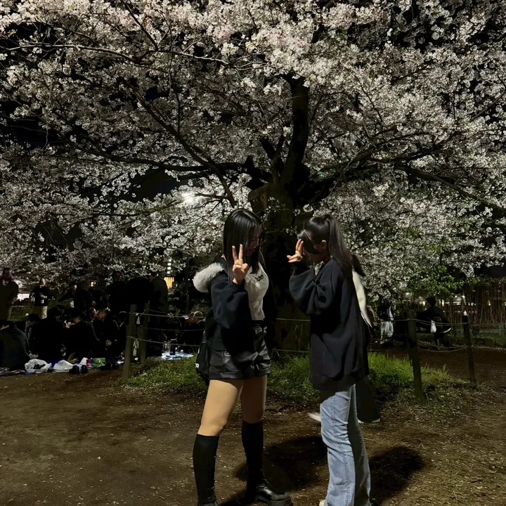 @shizuku5722