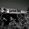 sarkini.sec