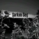 @sarkini.sec