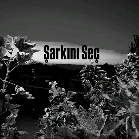 sarkini.sec
