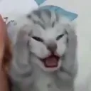 @_co7xl