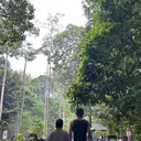 @nurainasukor2408