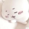 dearwonii_