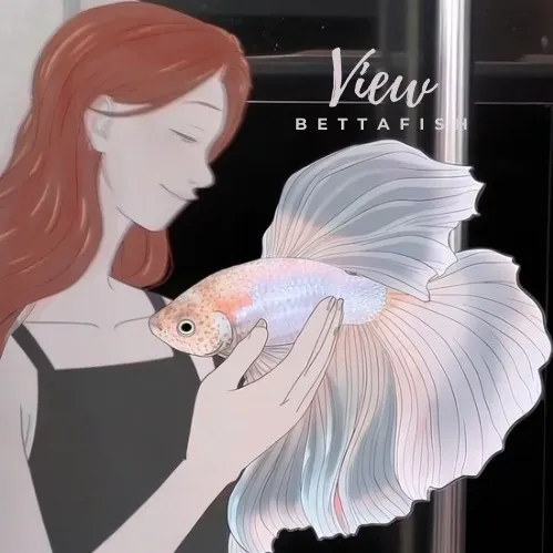 viewbettafish