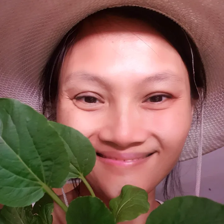 aliciaaumgarden