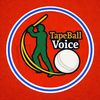 tapeballvoice2