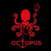 octopus.bouismail.vet