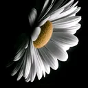 @_mavi_gece_