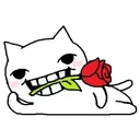 @dvoideen