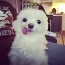 @paulwave24