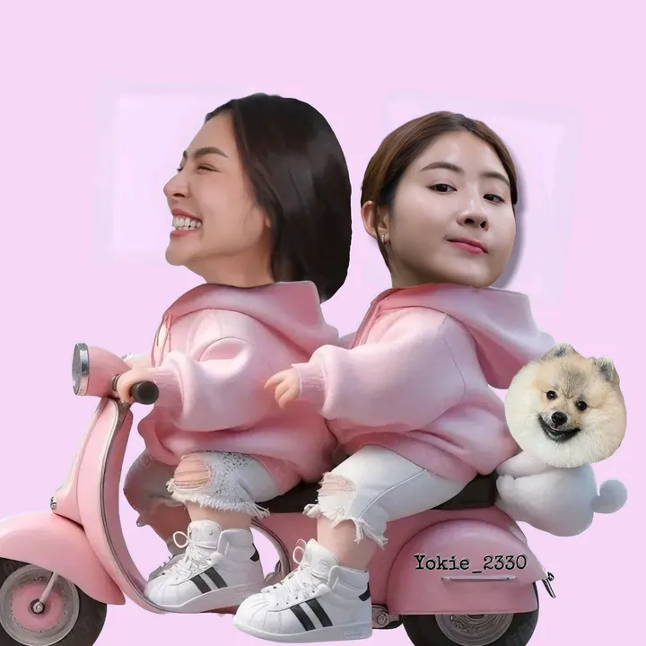 yokie_2330