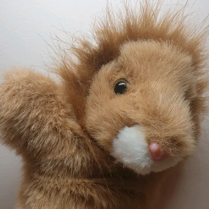 _lion_simba_