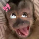 @azaea4