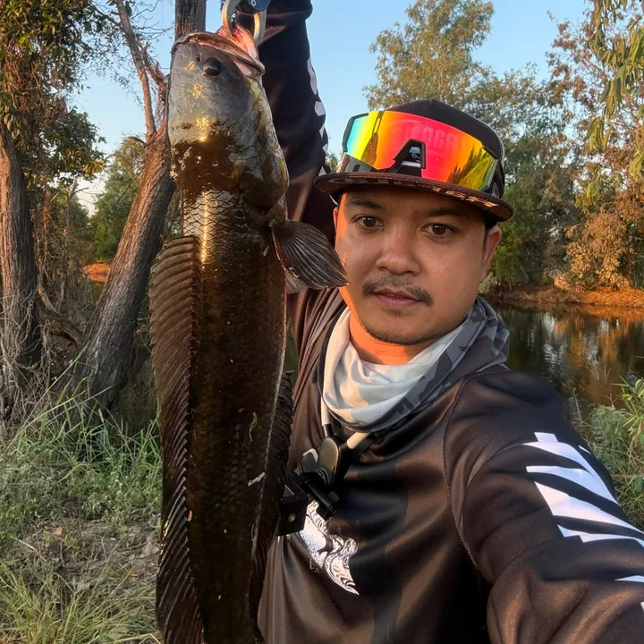 wakhongjed